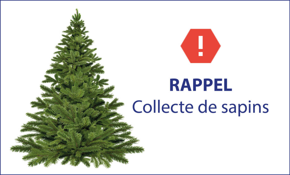 collecte-sapins-scaled.jpg